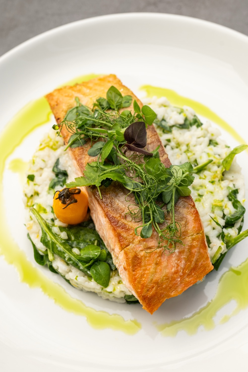 Roasted salmon on herb risotto with micro greens